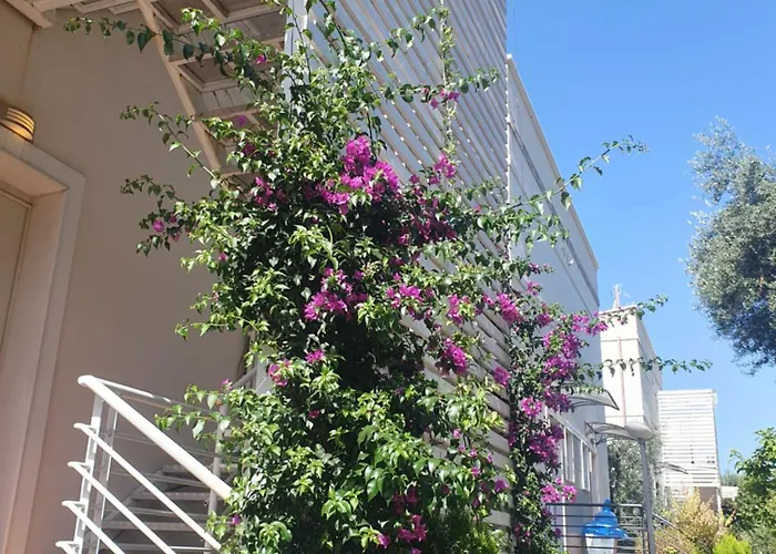 Apartament Stella Marina Family 2